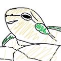 Profile picture midorimimi.bsky.social
