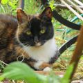 Profile picture willowstargwen.bsky.social