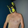 Profile picture thelittlefen.bsky.social