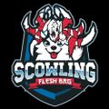 Profile picture scowlingfleshbag.bsky.social