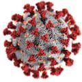 Profile picture coronavirusgt.bsky.social