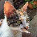 Profile picture isastral14.bsky.social