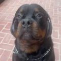 Profile picture jakesidekid.bsky.social