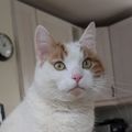 Profile picture lvl1adventurer.bsky.social