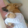 Profile picture kawan32bit.bsky.social
