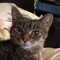 Profile picture whistlingchicken.bsky.social