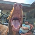 Profile picture broccoliwizard.bsky.social