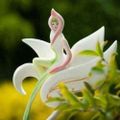 Profile picture angelsstuff.bsky.social