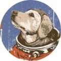 Profile picture spacefordogs.bsky.social