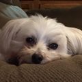 Profile picture jakneb.bsky.social