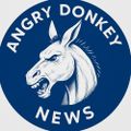 Profile picture angrydonkeynews.bsky.social
