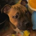 Profile picture rojo0610.bsky.social