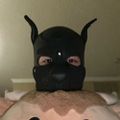 Profile picture thepupz.bsky.social