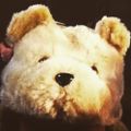 Profile picture bisxm4m.bsky.social