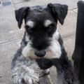 Profile picture billyzap.bsky.social