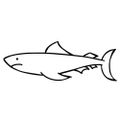 Profile picture floppyfins.bsky.social