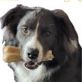 Profile picture bigsister.bsky.social