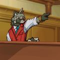 Profile picture raccooonsama.bsky.social