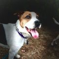 Profile picture bhill5.bsky.social