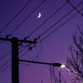 Profile picture starmuse.pixelmuse.cool