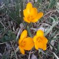 Profile picture gmagingerj.bsky.social