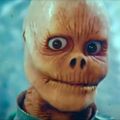 Profile picture gingerdoom.bsky.social
