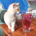 Profile picture toob2cool.bsky.social