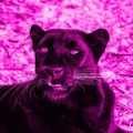 Profile picture designaergernisse.bsky.social