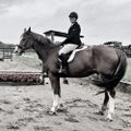 Profile picture countingstrides.bsky.social