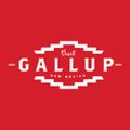 Profile picture visitgallup.bsky.social