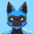 Profile picture notlucario.bsky.social