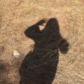 Profile picture eadeeva.bsky.social
