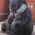 Profile picture richvanhaste.bsky.social