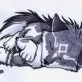 Profile picture wolfjedude.bsky.social