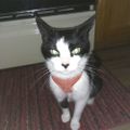 Profile picture anewhope10.bsky.social