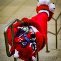 Profile picture doggiexcx.bsky.social