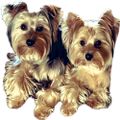 Profile picture justmom59.bsky.social