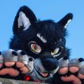 Profile picture zet-soku.bsky.social
