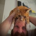Profile picture thesibgp.bsky.social