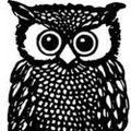 Profile picture innerwisdom1.bsky.social
