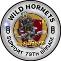 Profile picture wolfhoundfella.bsky.social