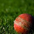 Profile picture peoplescricket.bsky.social
