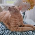 Profile picture jsscengle.bsky.social