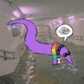 Profile picture quinkyspider.bsky.social