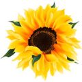 Profile picture lizzybean.bsky.social