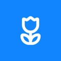 Profile picture searcher41.bsky.social