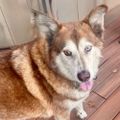 Profile picture jax5923.bsky.social