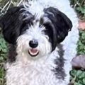 Profile picture 832021.bsky.social