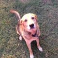 Profile picture burkle.bsky.social