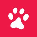 Profile picture wildkatpr.bsky.social